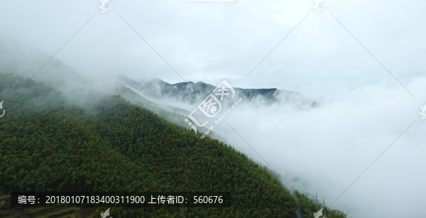 霧色雨途