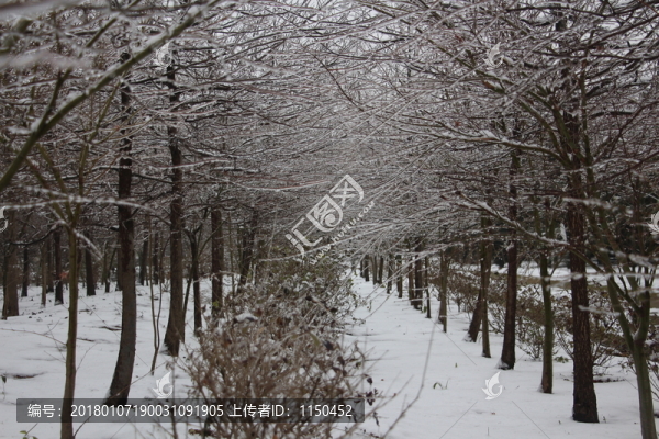 冰雪世界美如童話,（14）