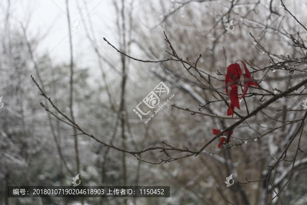 冰雪世界美如童話,（20）