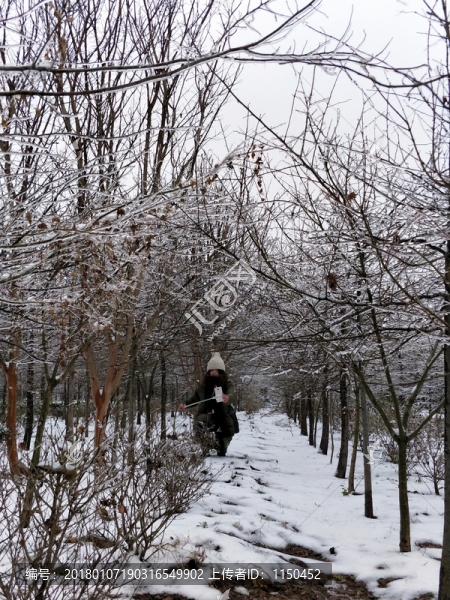 雪景美如畫,（3）