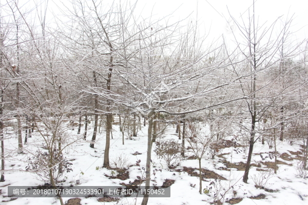 冰雪世界美如童話,（25）