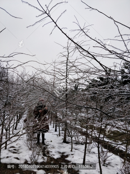 雪景美如畫,（4）