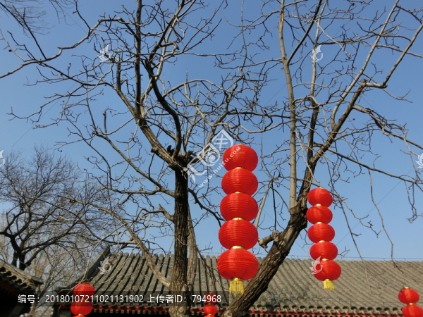 大紅燈籠