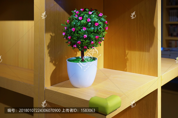 植物裝飾,盆花