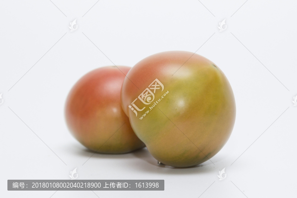油柿子