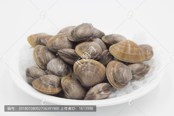 黃蜆子