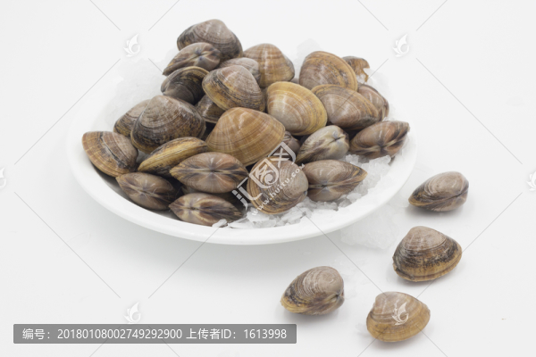 黃蜆子
