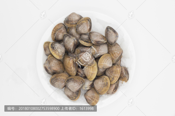 黃蜆子