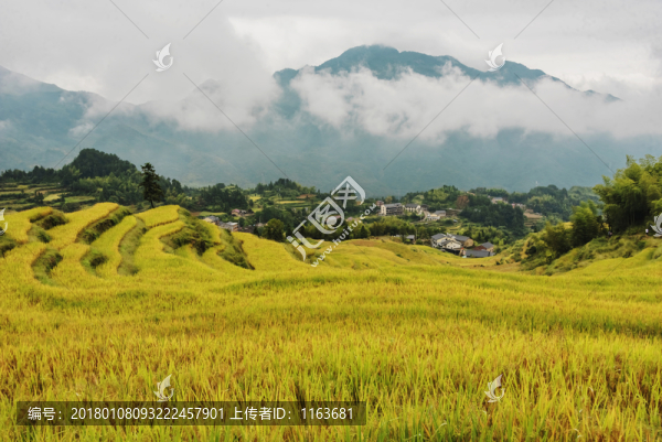 云和梯田