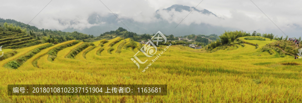 云和梯田