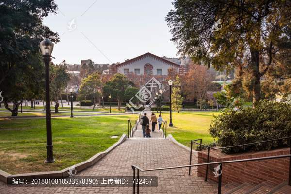 加利福尼亞大學(xué)洛杉磯分校