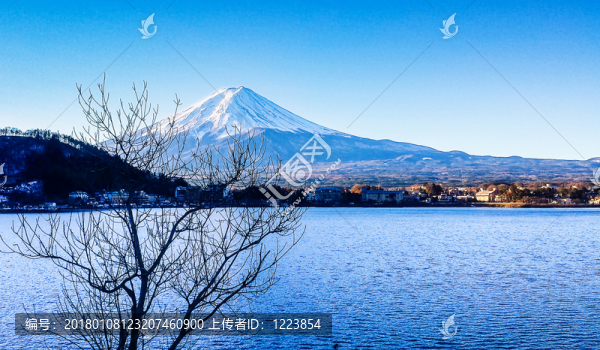 富士山