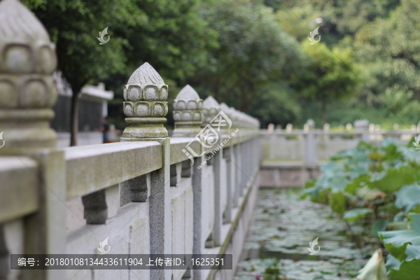 荷花池石雕
