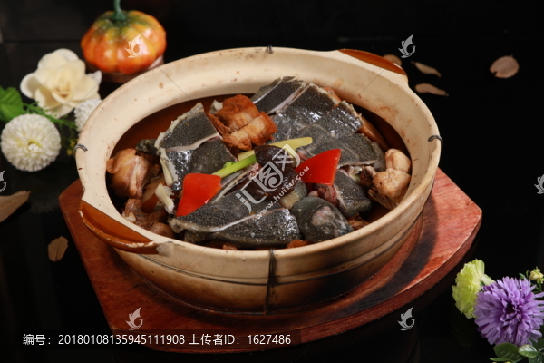 甲魚燜湛江憲雞