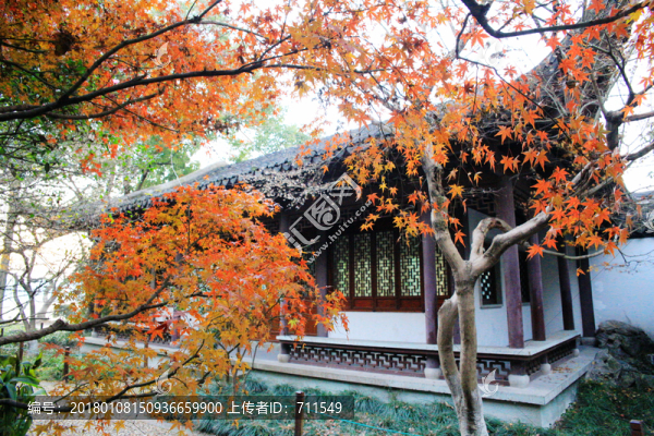 西湖紅楓