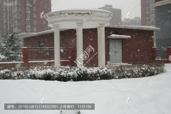 鵝毛大雪