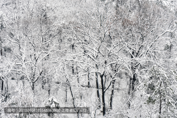 山林雪景