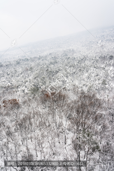 山林雪景