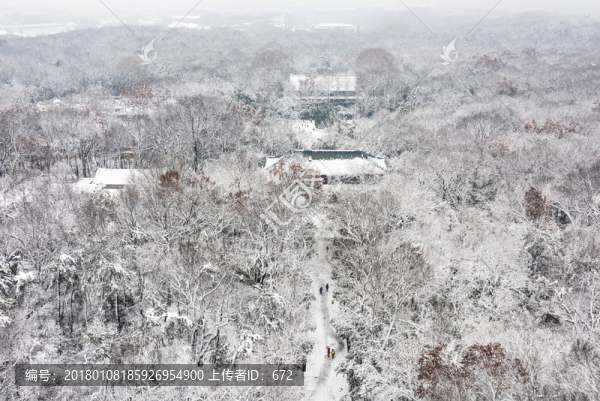 靈谷景區(qū)雪景