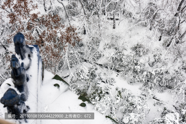 靈谷景區(qū)雪景