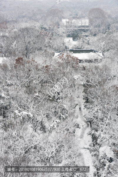 靈谷景區(qū)雪景