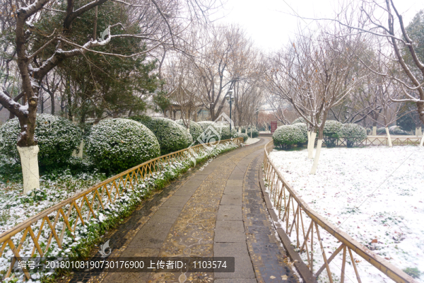 雪后的濟(jì)南趵突泉公園,（12）