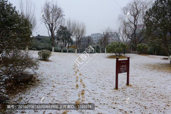 雪后的濟南趵突泉公園,（46）