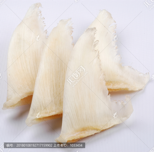魚翅
