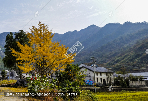 原始鄉(xiāng)村