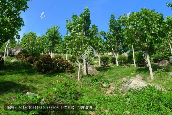 三亞南山文化旅游區(qū)