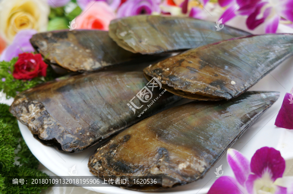 海鮮貝類