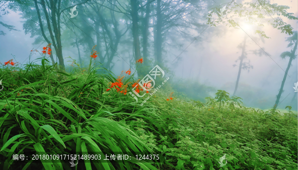 樹林