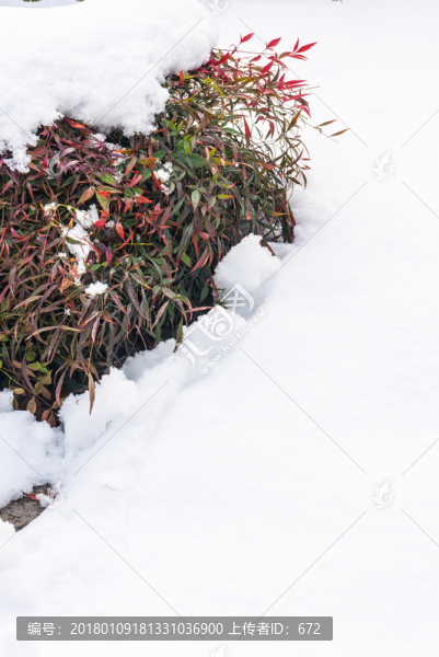 明孝陵景區(qū)雪景