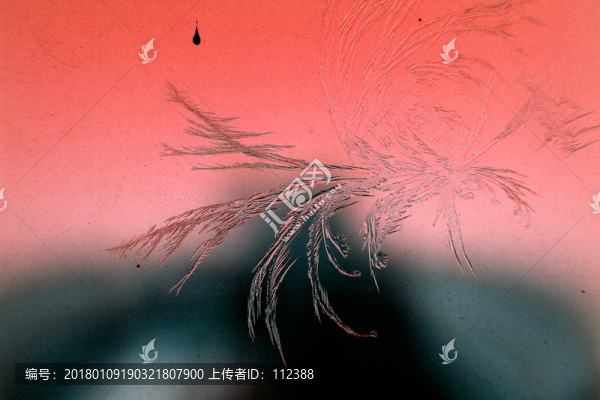 冰凌窗花,雪花霜花,冰霜,底紋