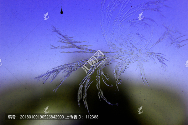 冰凌窗花,雪花霜花,冰霜,底紋