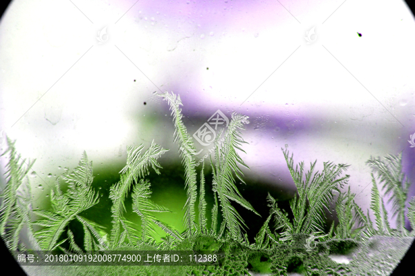 冰凌窗花,雪花霜花,冰霜,底紋