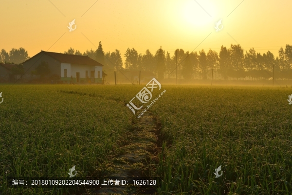 鄉(xiāng)村早晨