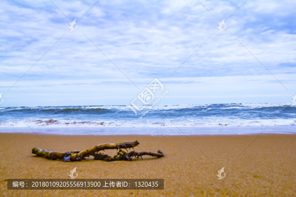 白浪滔天