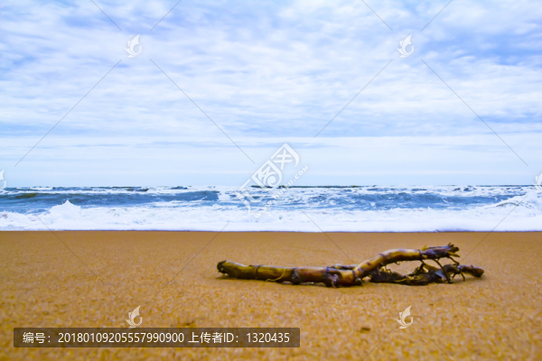 白浪滔天