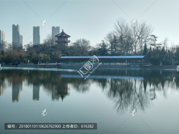 公園景色