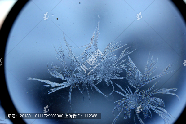 冰凌窗花,雪花霜花,冰霜,底紋