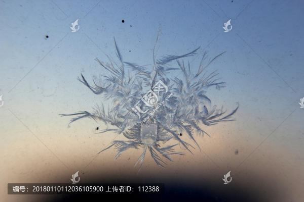 冰凌窗花,雪花霜花,冰霜,底紋
