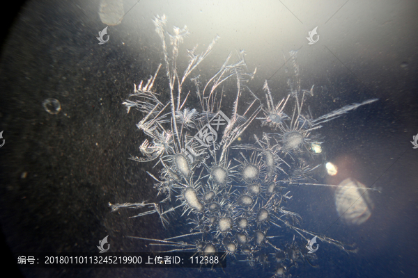 冰凌窗花,雪花霜花,冰霜,底紋