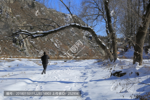 雪地