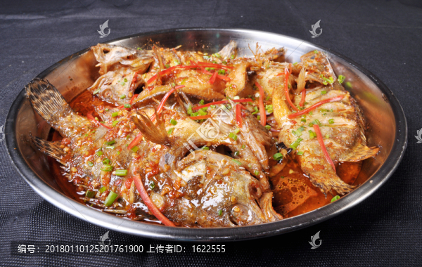 大盆桂魚