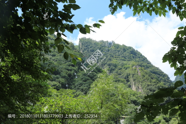 綠色素材