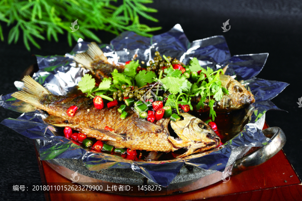 紙上烤鯽魚(yú)
