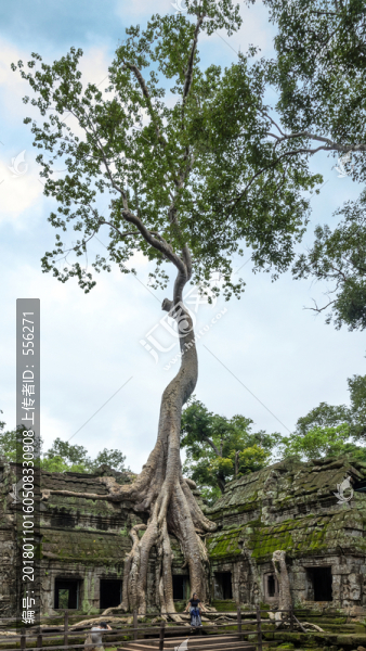 吳哥窟,塔布籠寺