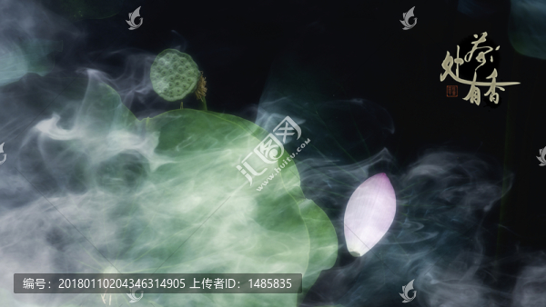 蓮蓬
