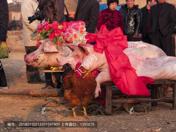 青島即墨周戈莊祭海